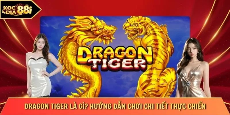 Dragon tiger Là Gì Hướng Dẫn Chơi Chi Tiết Thực Chiến