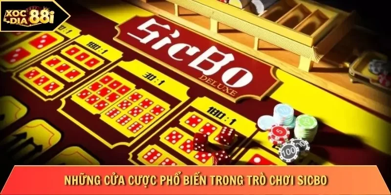 Những cửa cược phổ biến trong trò chơi Sicbo