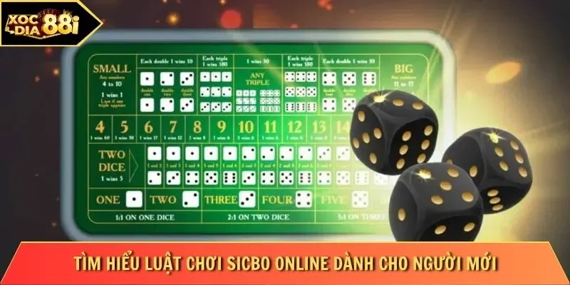 Tìm hiểu luật chơi Sicbo Online dành cho người mới